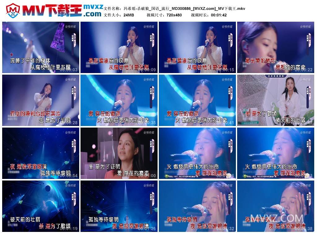 冯希瑶-杀破狼_国语_流行_MD300886